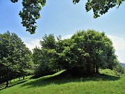 61 Il Roccolo Spadi avvolto nel verde